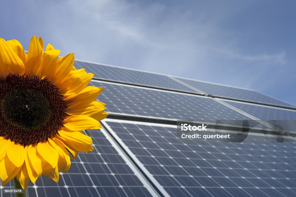 Erneuerbare Energien Photovoltaik - Lizenzfrei Sonnenblume Stock-Foto