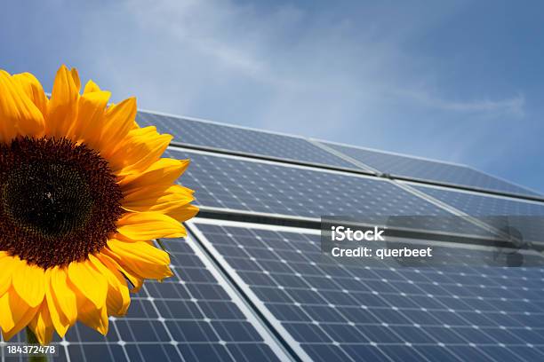 Erneuerbare Energien Photovoltaik Stockfoto und mehr Bilder von Sonnenblume - Sonnenblume, Sonnenenergie, Blau