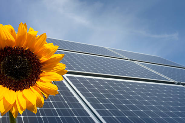 istock Photovoltaics - Renewable energy 184372478