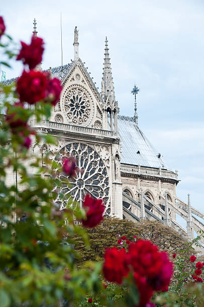 rose window, die kathedrale von notre dame - rose window window church built structure stock-fotos und bilder