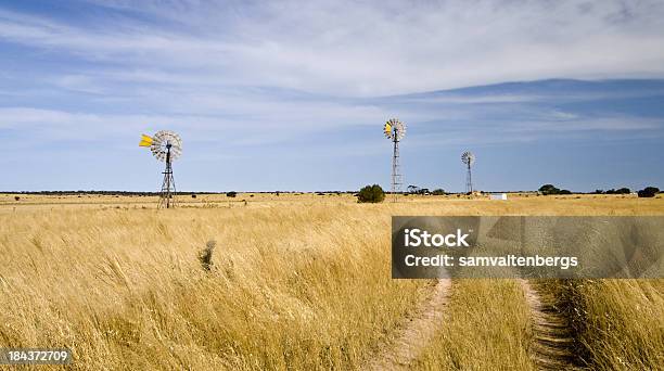 Photo libre de droit de Moulins À Vent De Penong banque d'images et plus d'images libres de droit de Australie méridionale - Australie méridionale, Ferme - Aménagement de l'espace, Australie