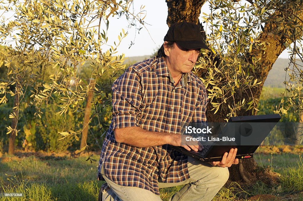 Agricultor usando o computador no campo ao pôr do sol - Foto de stock de Adulto royalty-free