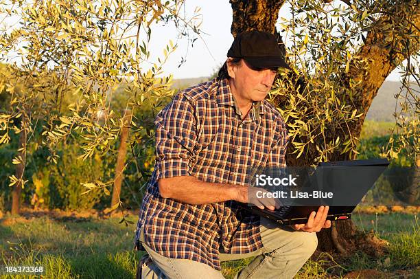 Foto de Agricultor Usando O Computador No Campo Ao Pôr Do Sol e mais fotos de stock de Adulto