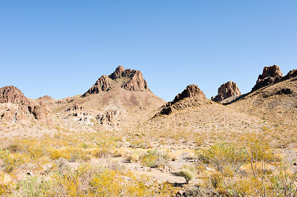 istock Oatman Arizona Outskirts 184373434