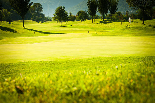 istock golf course with little hills at Locarno, Switzerland 184373781