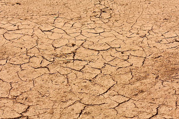 drougt texture, de fond abstrait design créatif avec photo - global warming cracked dirt earth photos et images de collection