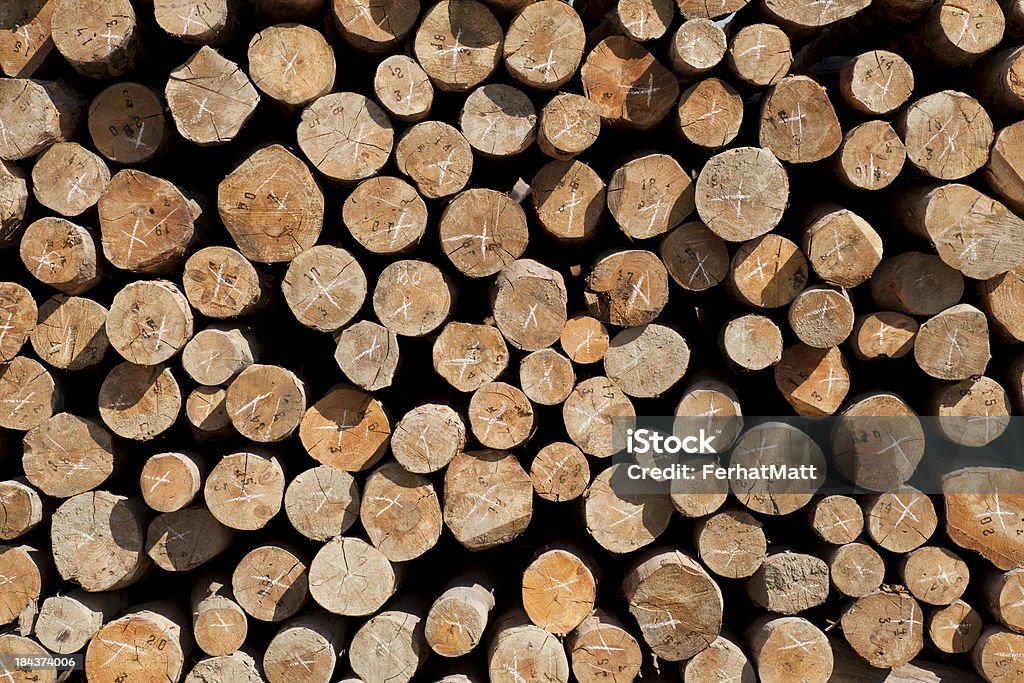 Pilhas de madeira - Foto de stock de Amontoamento royalty-free