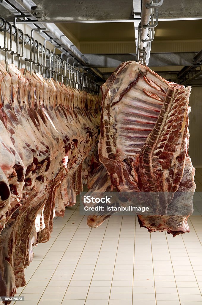 slaughterhouse Slaughterhouse Animal Skeleton Stock Photo