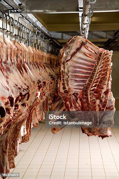 Slaughterhouse Stock Photo - Download Image Now - Animal Skeleton, Beef, Dead Animal