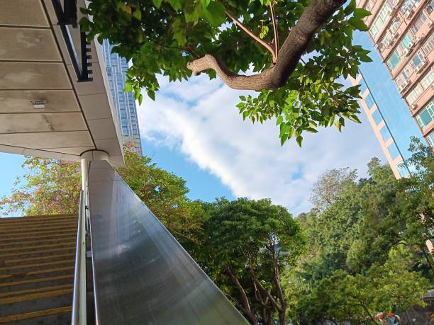 istock City view from platform garden 1843741009