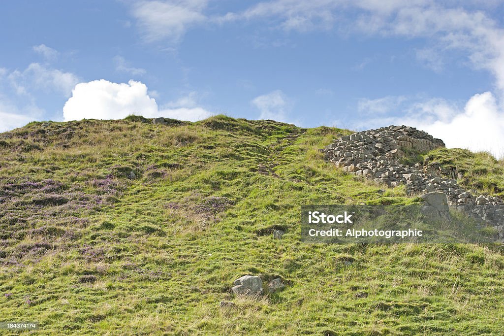 De Northumberland Campo - Foto de stock de Agricultura libre de derechos