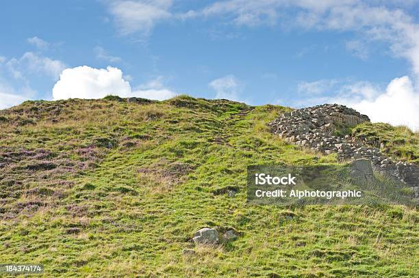 De Northumberland Campo Foto de stock y más banco de imágenes de Agricultura - Agricultura, Aislado, Brezo
