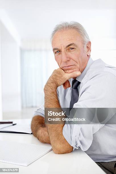 Male Executive Looking Proud Stock Photo - Download Image Now - 60-69 Years, Active Seniors, Adult