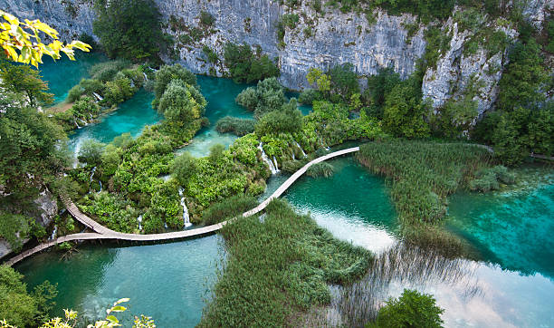istock Croatian lakes - Plitvice 184374911