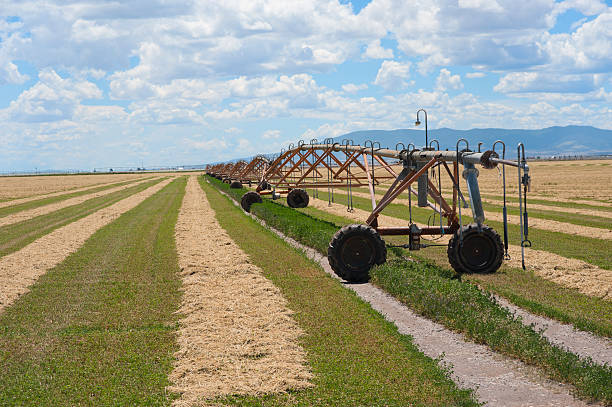 Cut Hay Field and Irrigation Equipment