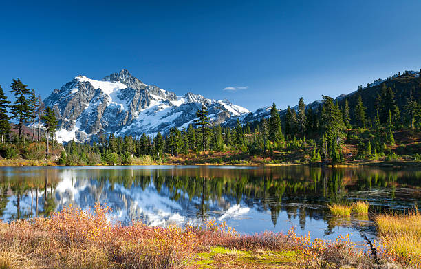 istock Fall Colours at Mt. Shuksan 184375629