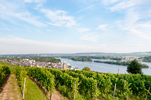 City of Rudesheim with vineyards and the Rhine