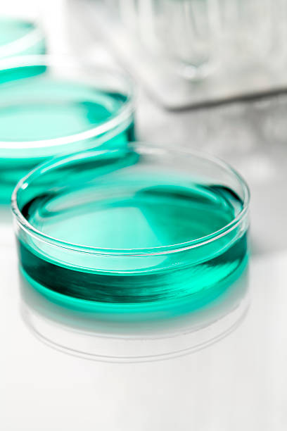 istock Petri Dishes and test tubes 184376123