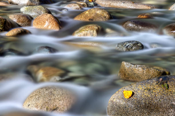 istock creek falls in a mountain, North Vancouver, BC, Canada 1843764821