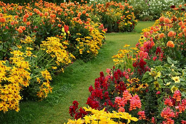 istock Flower garden in summer 184376630
