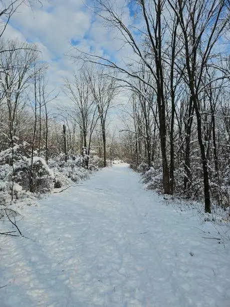 Winter blue cloudy sky snow trails hiking cold white winter forest trees Chateauguay Montreal Quebec Canada landscape