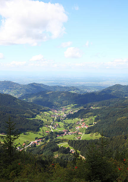 istock autuum landscape in Black Forest 184376983