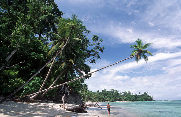 istock India, Nicobar Islands, Nancowry Island, man walking on beach. 184377180