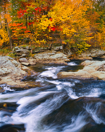 Fast flowing stream with autumn trees in the Green Mountains of Vermont
