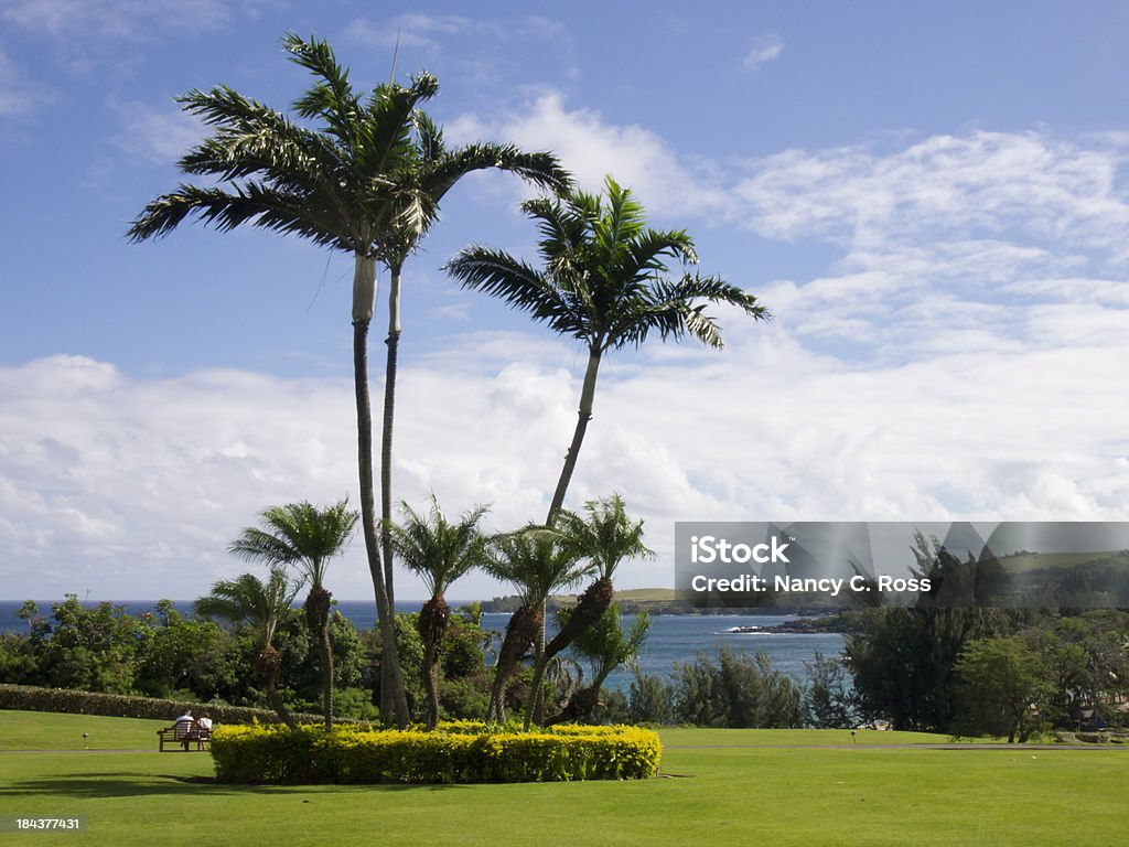 Jardim Tropical de Rocky Point com vista para o mar - Foto de stock de Balançar royalty-free