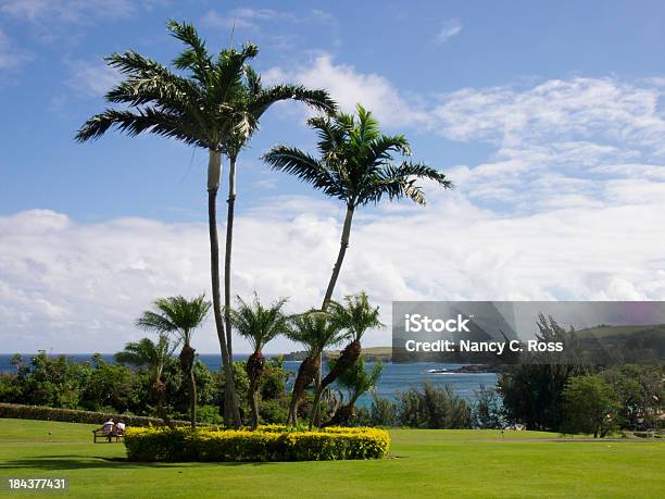 Foto de Jardim Tropical De Rocky Point Com Vista Para O Mar e mais fotos de stock de Balançar