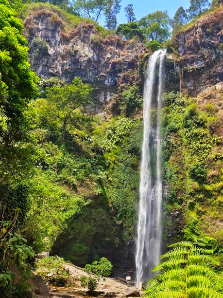 istock Defocused view of waterfall in the forest 1843777000