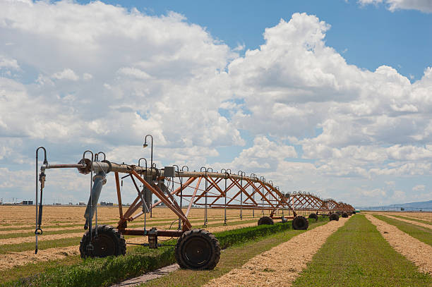 istock Cut Hay Field and Irrigation Equipment 184377841