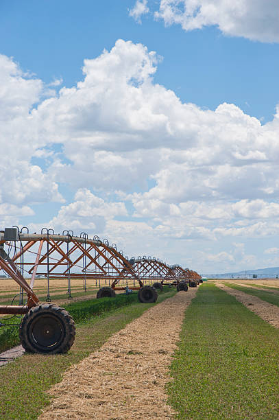 istock Cut Hay Field and Irrigation Equipment 184377894