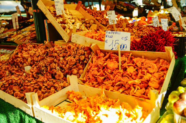 istock mushroom in market 1843779613