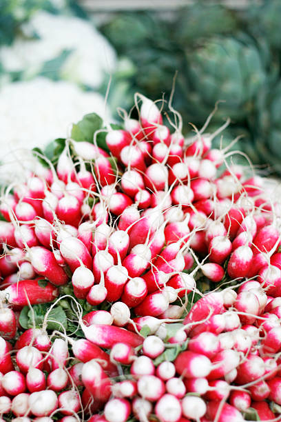 istock radishes at the market 184378069