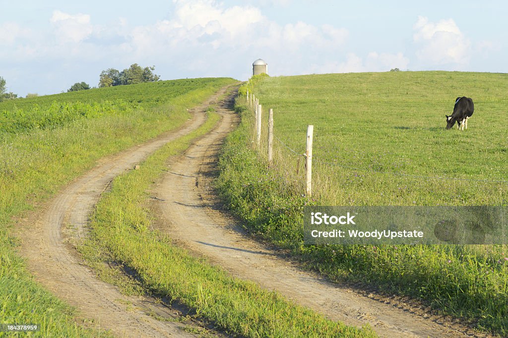 The Farm Road - Стоковые фото Соя роялти-фри