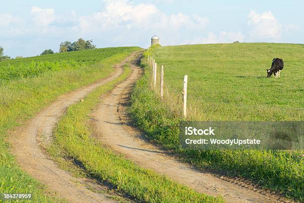 The Farm Road — стоковые фотографии и другие картинки Соя - Соя, Дорога, Зелёный цвет