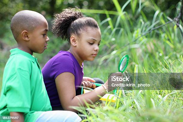 Young Explorers Stockfoto und mehr Bilder von Im Freien - Im Freien, Kind, Sommer