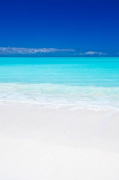 blanc pur et bleu ciel sur la plage des caraïbes - clear sky vacations vertical saturated color photos et images de collection