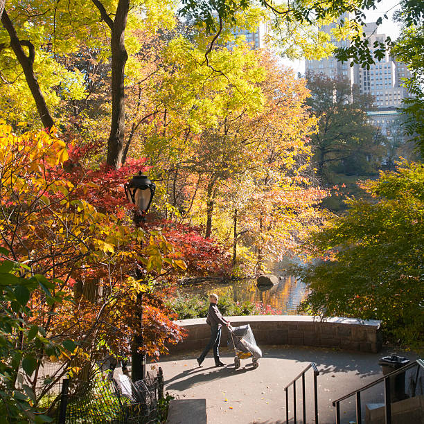 istock Autumn morning in Central Park 184381339