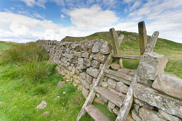 istock Northumberland or Cumbrian Ladder Stile 184381342