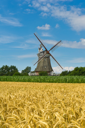Den Haas old windmill in Zierikzee during a beautiful summer day with blue sky in de background.