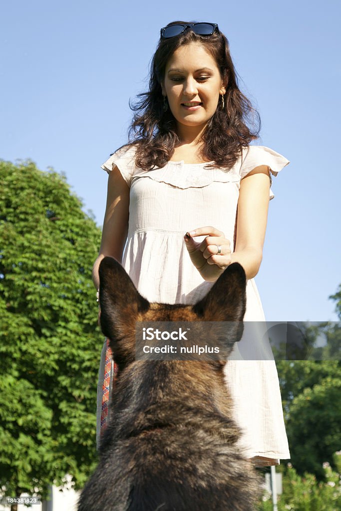 Frau mit Ihrem Hund im park - Lizenzfrei Anreiz Stock-Foto