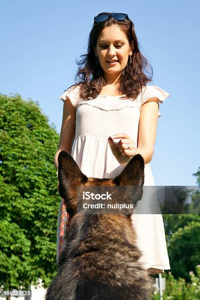 Mulher Com Seu Cachorro No Parque - Fotografias de stock e mais imagens de 20-29 Anos - 20-29 Anos, Adulto, Alemanha