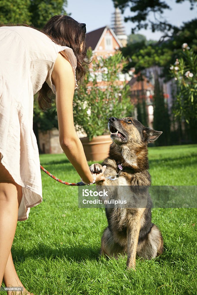 Mulher com seu cachorro no parque - Foto de stock de 20 Anos royalty-free