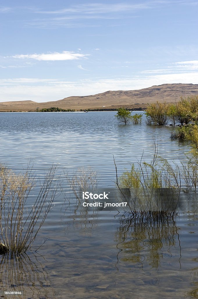 Lahontan Reservoir mit Reflexion - Lizenzfrei Farbbild Stock-Foto