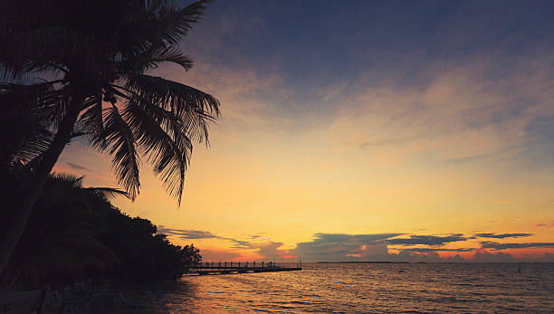 istock small pier and palm trees silhouettes at sunset 184382130