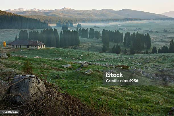 Photo libre de droit de Mist De Piana Di Marcesina À Laube Asiago Haut Plateau banque d'images et plus d'images libres de droit de Arbre