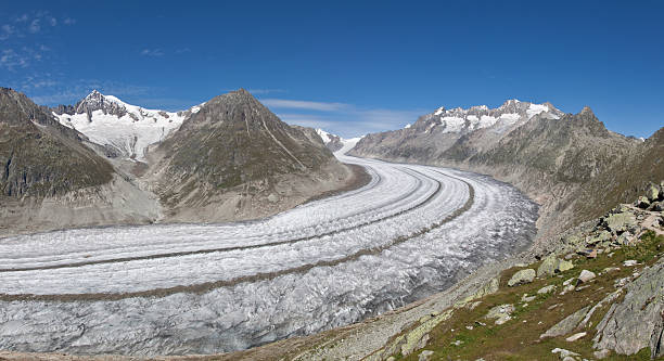 o grande glaciar aletsch, wallis, suíça - bettmerhorn imagens e fotografias de stock