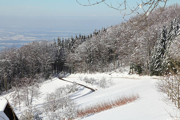 istock winter landscape with street in Black Forest 184383015